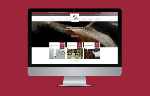 La Société Hippique de Mulhouse ou SHM, premier club d'équitation du Haut-Rhin en Alsace, dispose d'un nouveau logo et d'un site internet réalisé par l'agence web Mars Rouge.